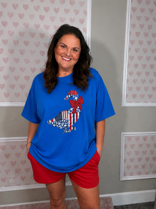 Patriotic goose appliqué tee on royal blue shirt with embroidered red, white, and blue fabric details.
